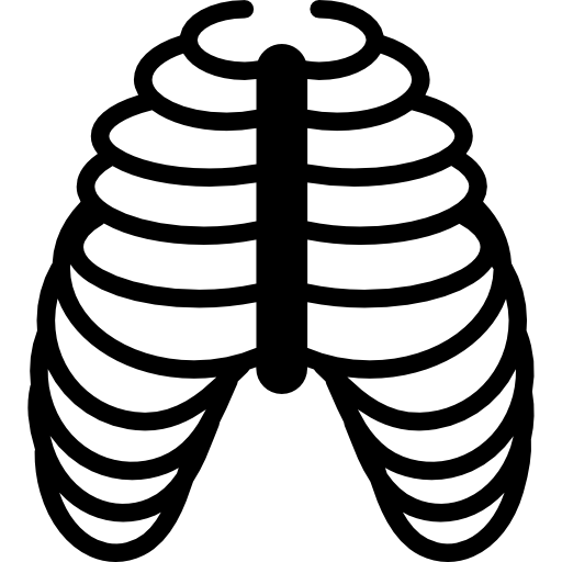 Detail Rippen Zeichnen Nomer 2