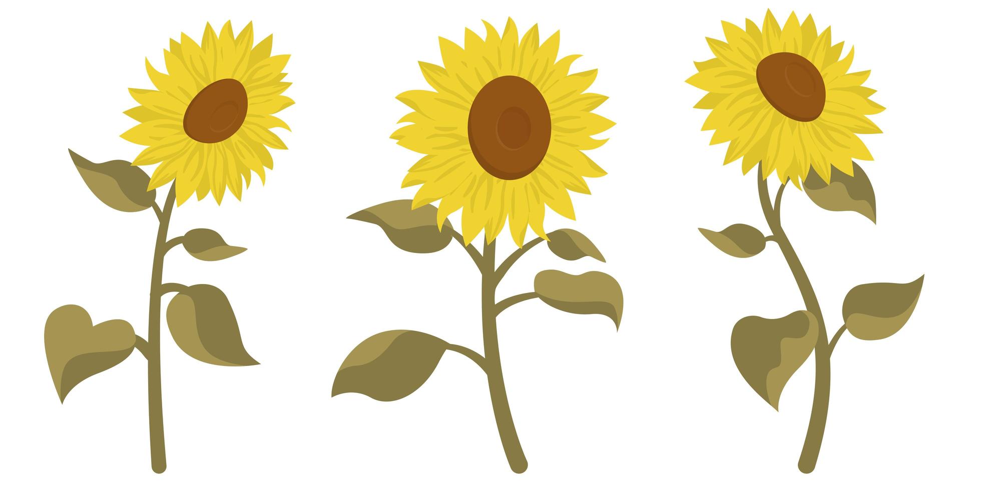 Detail Sonnenblumen Bilder Gratis Nomer 18