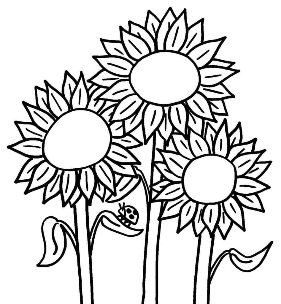 Detail Sonnenblumen Bilder Gratis Nomer 22