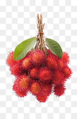 Detail Gambar Animasi Rambutan Nomer 5