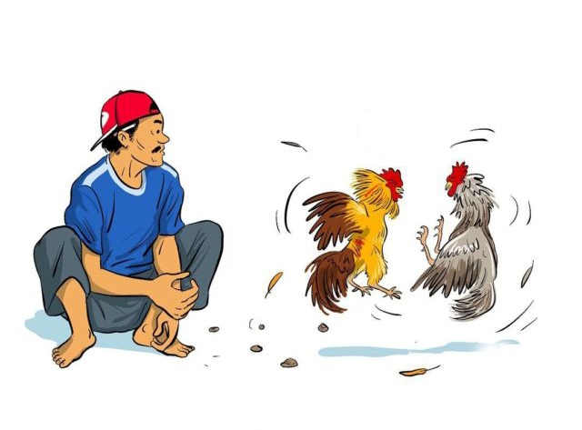 Detail Gambar Animasi Sabung Ayam Nomer 3