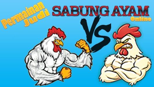 Detail Gambar Animasi Sabung Ayam Nomer 30