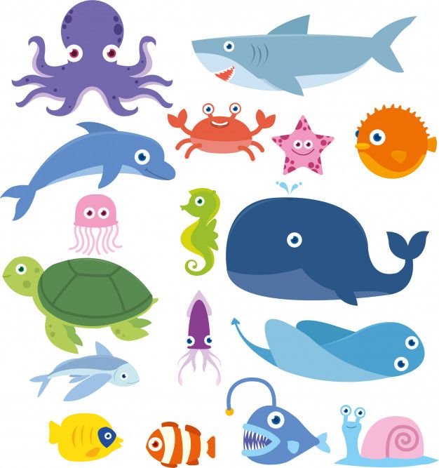 Detail Gambar Animasi Sea Animals Nomer 3