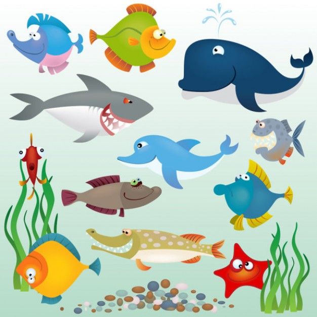 Detail Gambar Animasi Sea Animals Nomer 4