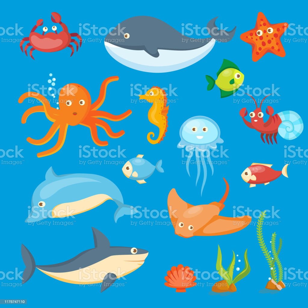 Detail Gambar Animasi Sea Animals Octopus Nomer 22