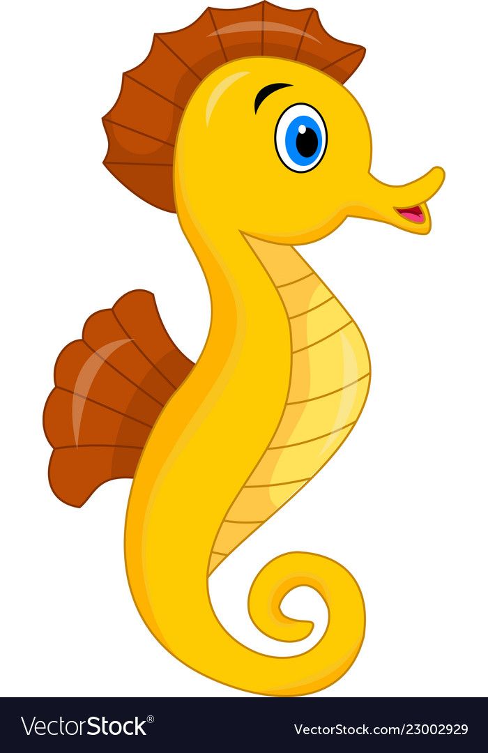 Gambar Animasi Sea Animals Sea Horse - KibrisPDR