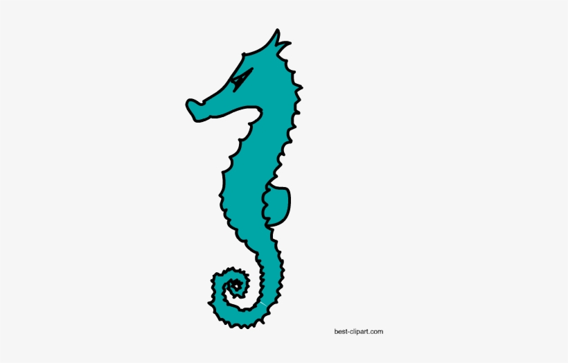 Detail Gambar Animasi Sea Animals Sea Horse Nomer 52