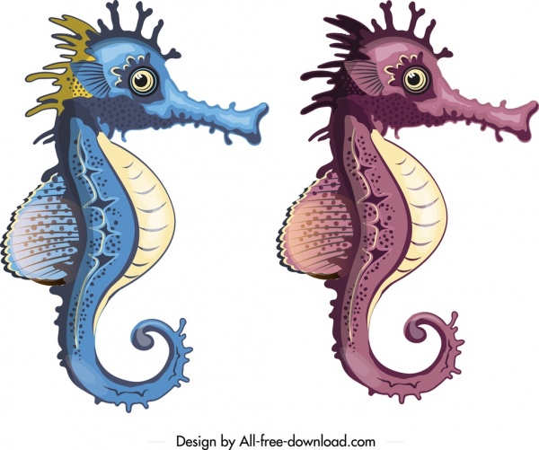 Detail Gambar Animasi Sea Animals Sea Horse Nomer 53