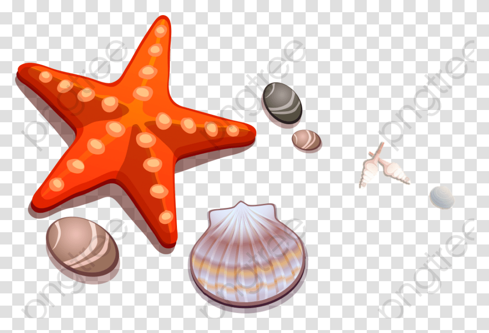 Detail Gambar Animasi Sea Animals Star Fish Nomer 40