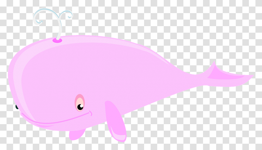 Detail Gambar Animasi Sea Animals Whale Nomer 11