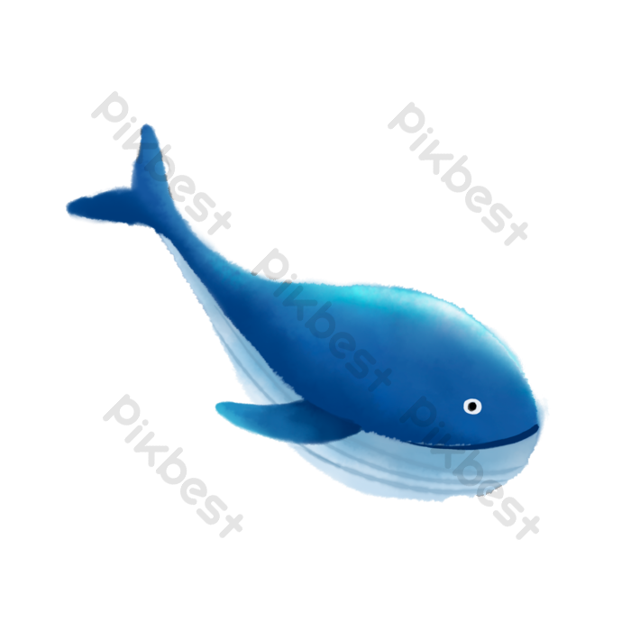 Download Gambar Animasi Sea Animals Whale Nomer 27