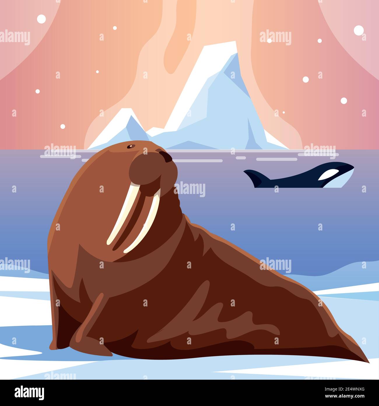 Detail Gambar Animasi Sea Animals Whale Nomer 37