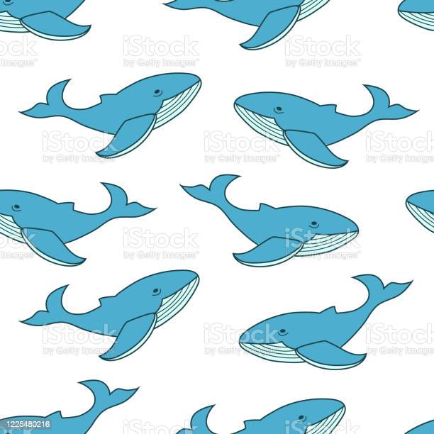 Detail Gambar Animasi Sea Animals Whale Nomer 6