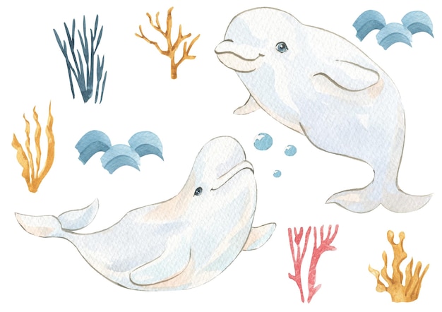 Detail Gambar Animasi Sea Animals Whale Nomer 57