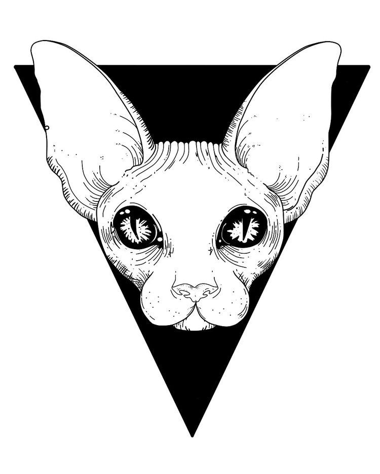 Detail Sphinx Zeichnen Nomer 9