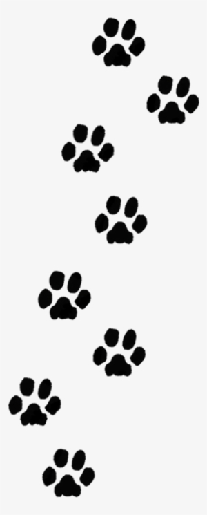 Detail Transparent Dog Paw Nomer 12