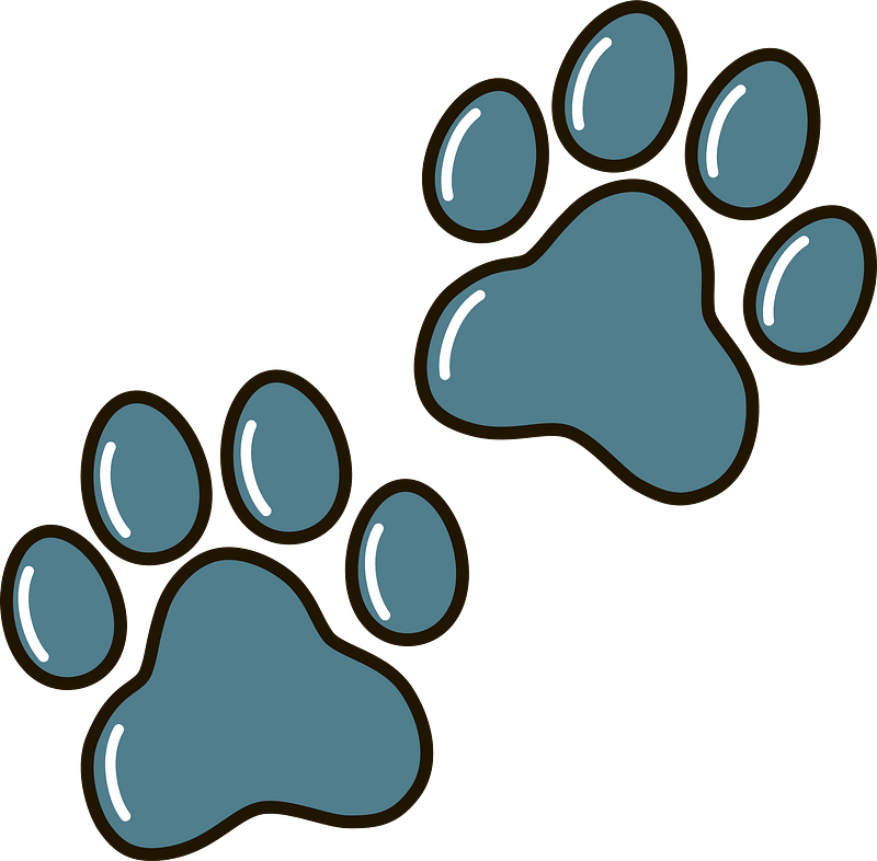 Detail Transparent Dog Paw Nomer 20