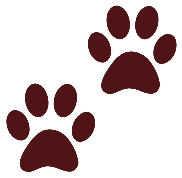 Detail Transparent Dog Paw Nomer 2