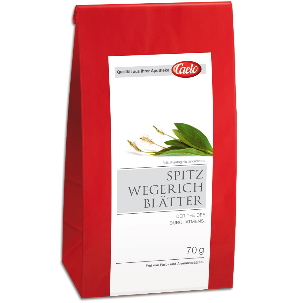 Wegerich Tee - KibrisPDR