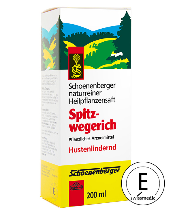 Detail Wegerich Tee Nomer 24