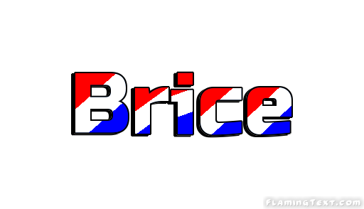 Detail Brice Logo Nomer 4