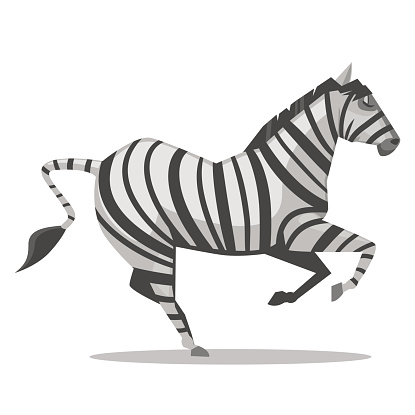 Detail Gambar Animasi Zebra Nomer 53