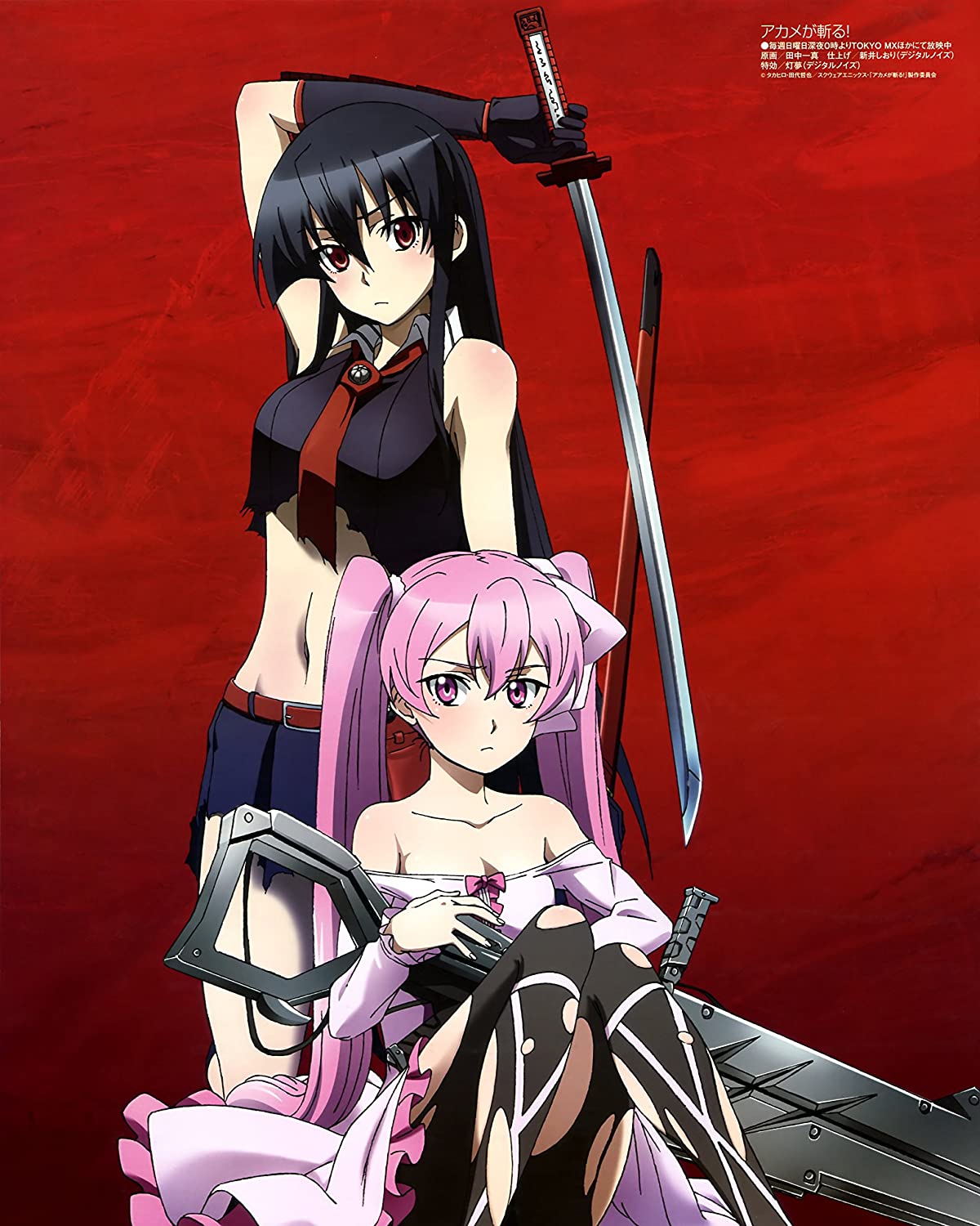 Detail Gambar Anime Akame Ga Kill Nomer 23