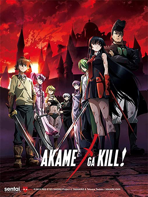 Detail Gambar Anime Akame Ga Kill Nomer 4