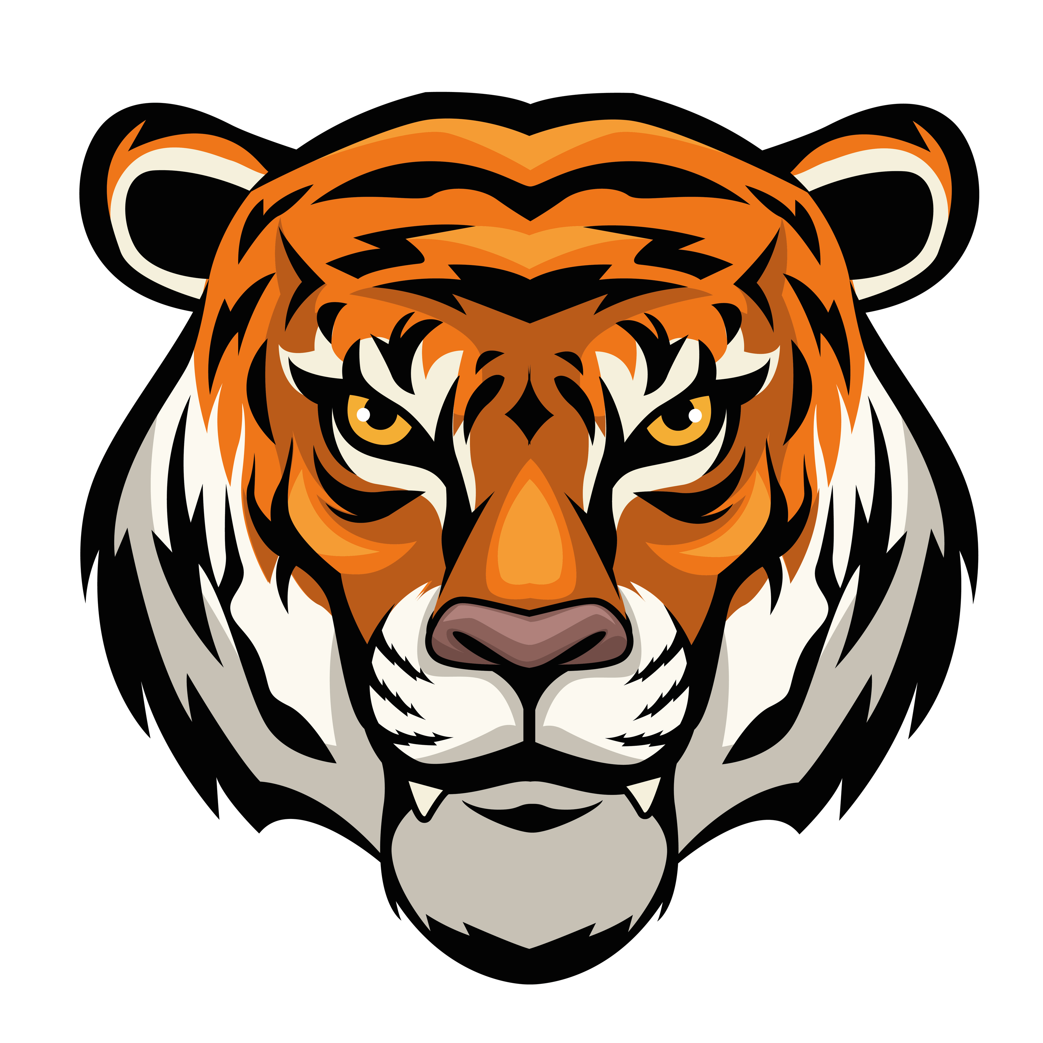 Detail Indochinesischer Tiger Nomer 18