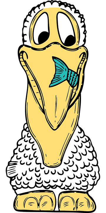 Detail Pelikan Vogel Nomer 15