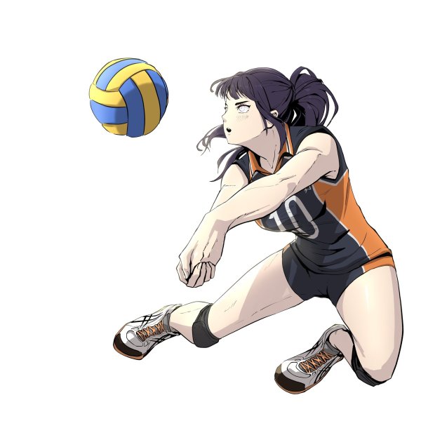 Detail Volleyball Sports Anime Nomer 18