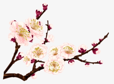 Detail Anime Blossom Nomer 20