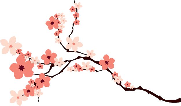 Detail Anime Blossom Nomer 5