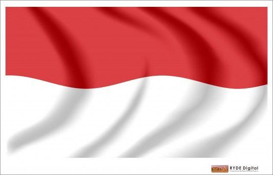 Detail Gambar Anime Memegang Bendera Merah Putih Yang Tidak Berwarna Nomer 4