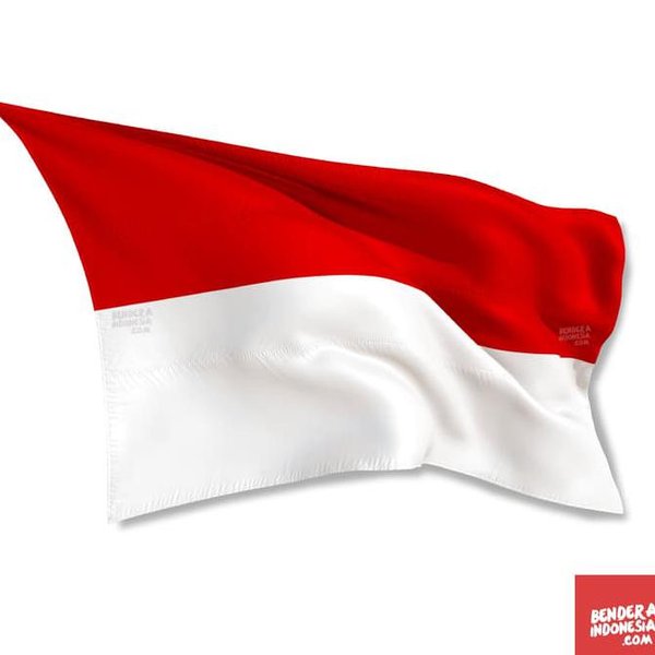 Detail Gambar Anime Memegang Bendera Merah Putih Yang Tidak Berwarna Nomer 10