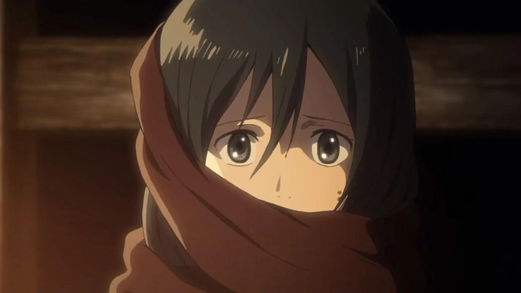 Detail Gambar Anime Mikasa Nomer 21