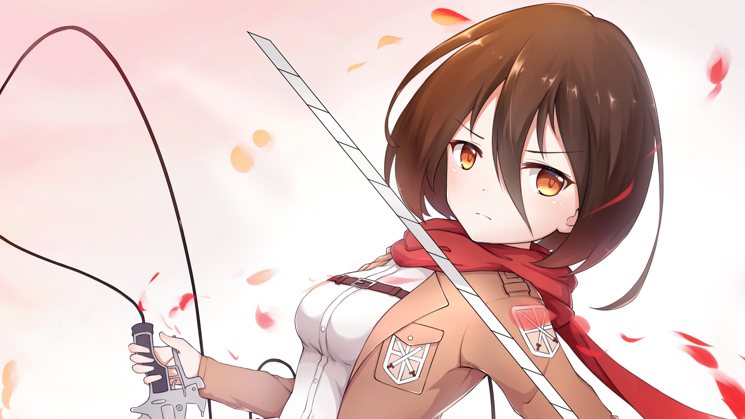 Detail Gambar Anime Mikasa Nomer 50