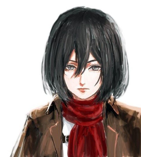 Detail Gambar Anime Mikasa Nomer 8