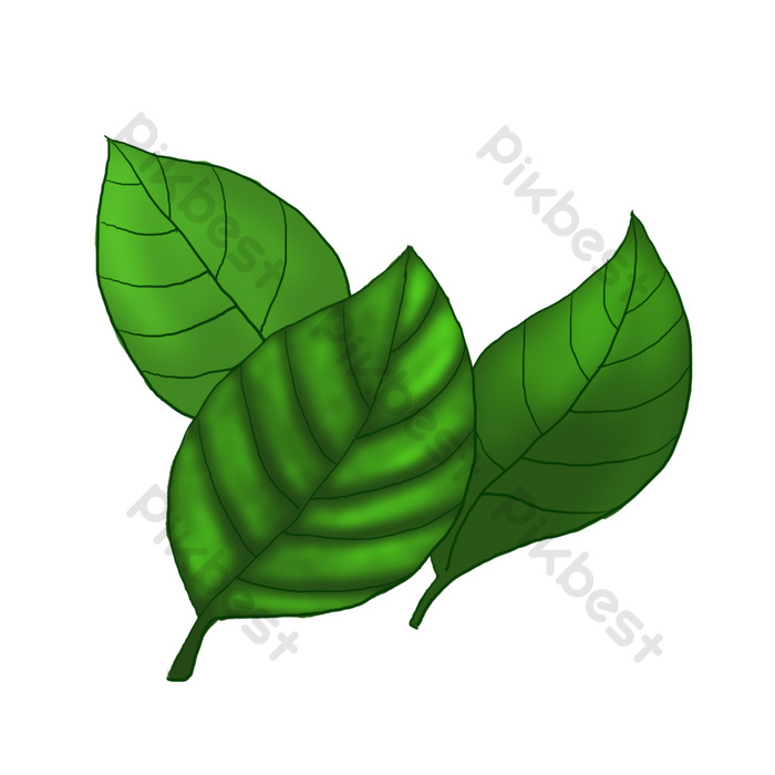 Detail Gambar Animsi Daun Nomer 26
