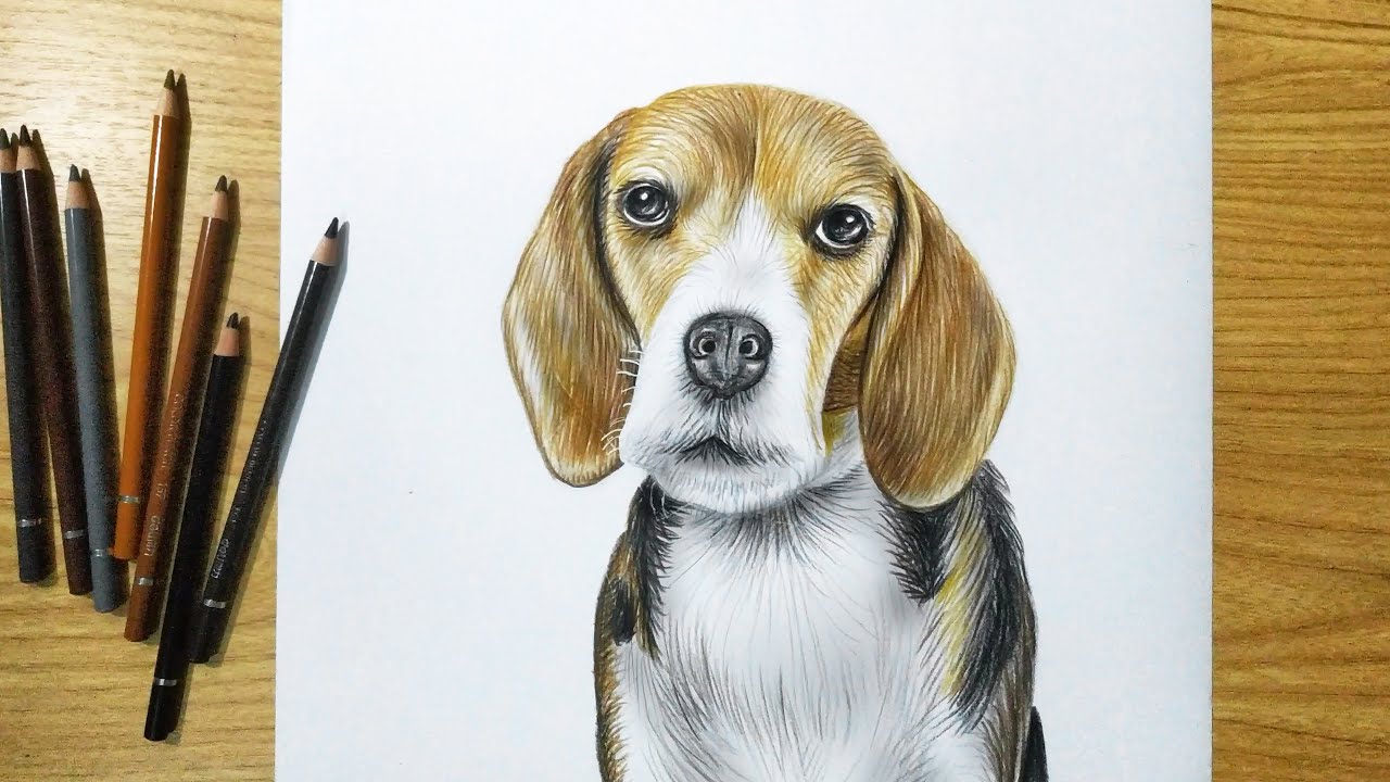 Detail Gambar Anjing Dari Pensil Nomer 15