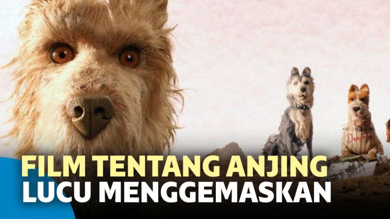 Detail Gambar Anjing Lucu Nomer 57