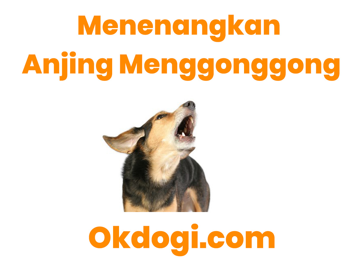 Detail Gambar Anjing Menggonggong Nomer 54