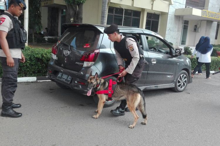 Detail Gambar Anjing Polisi Nomer 17