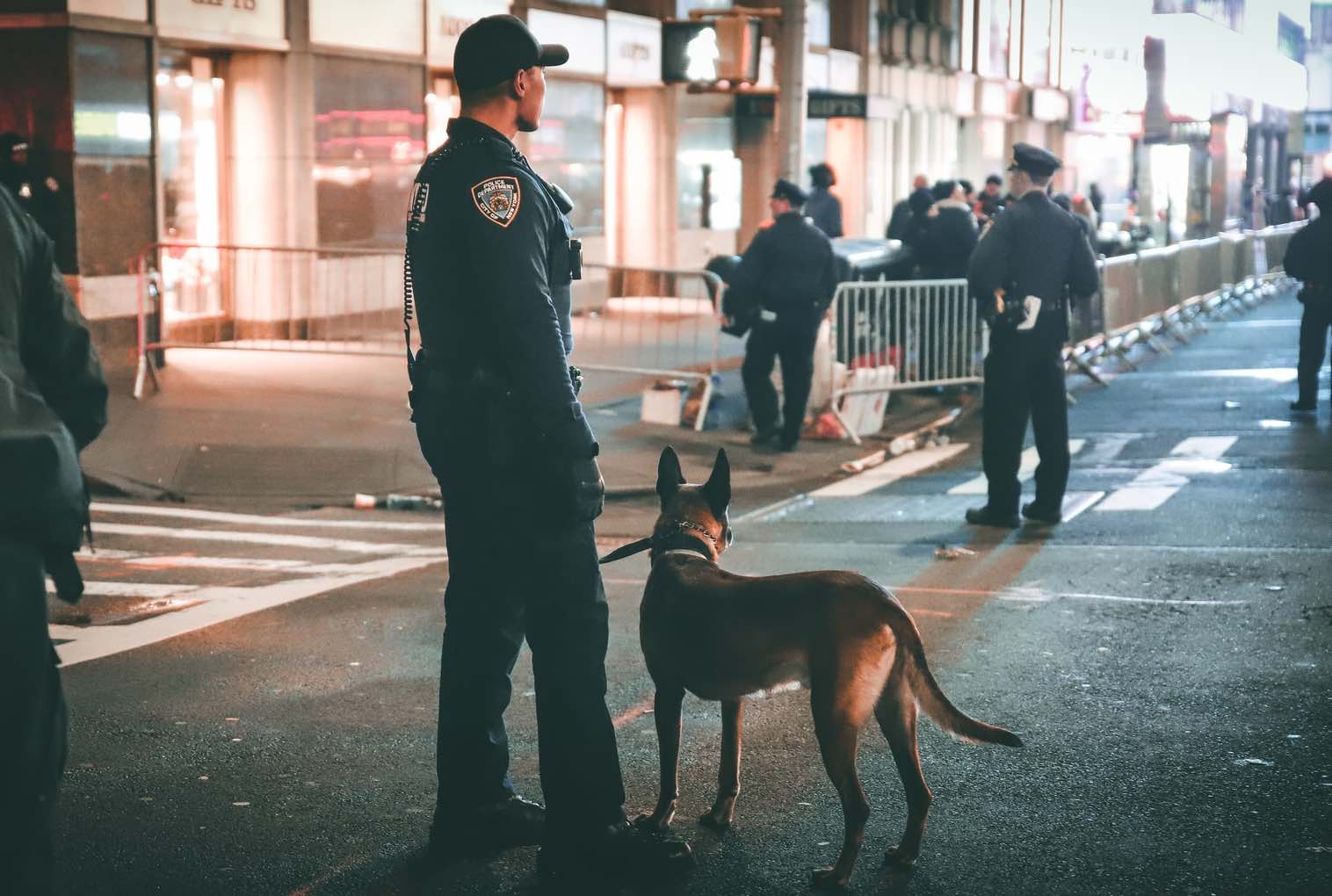 Detail Gambar Anjing Polisi Nomer 46