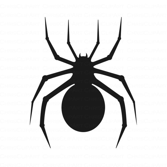 Detail Gruselige Spinnen Nomer 5