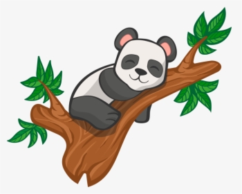 Detail Plant Panda Nomer 3