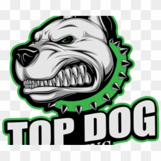 Detail Blink Dog Nomer 10