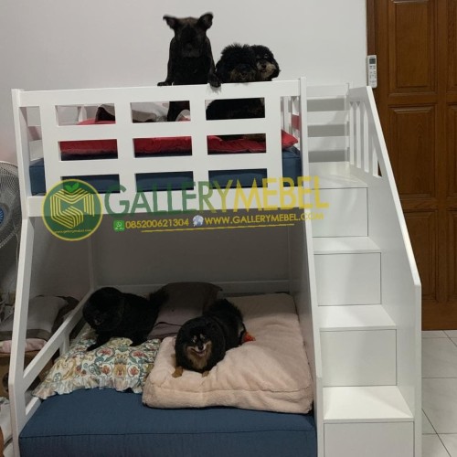 Detail Gambar Anjing Yang Tidur Di Kandang Nomer 39