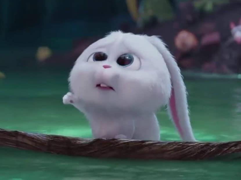 Detail Gambar Anjing Yang Tidur Shaun The Sheep Nomer 5