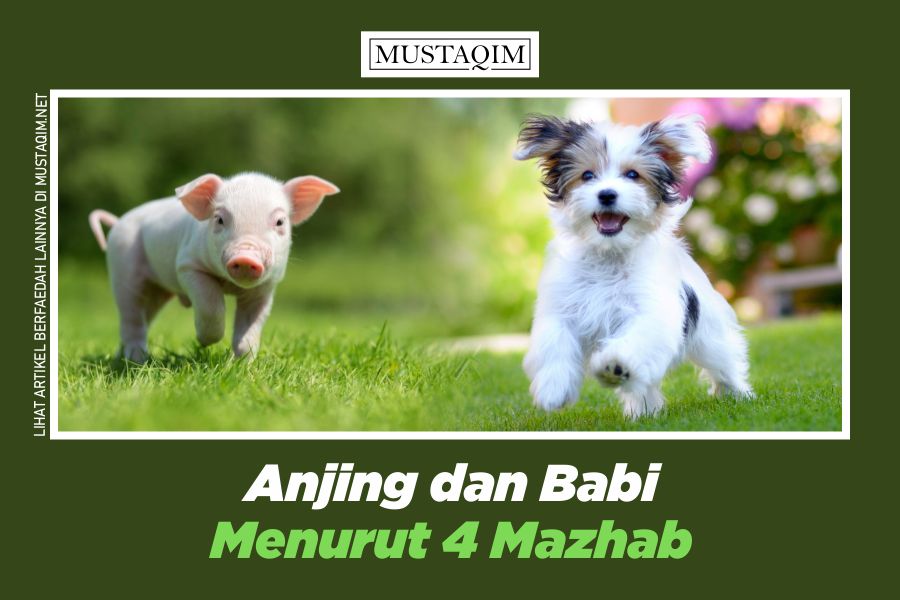 Detail Gambar Anjing Yang Tidur Shaun The Sheep Nomer 46